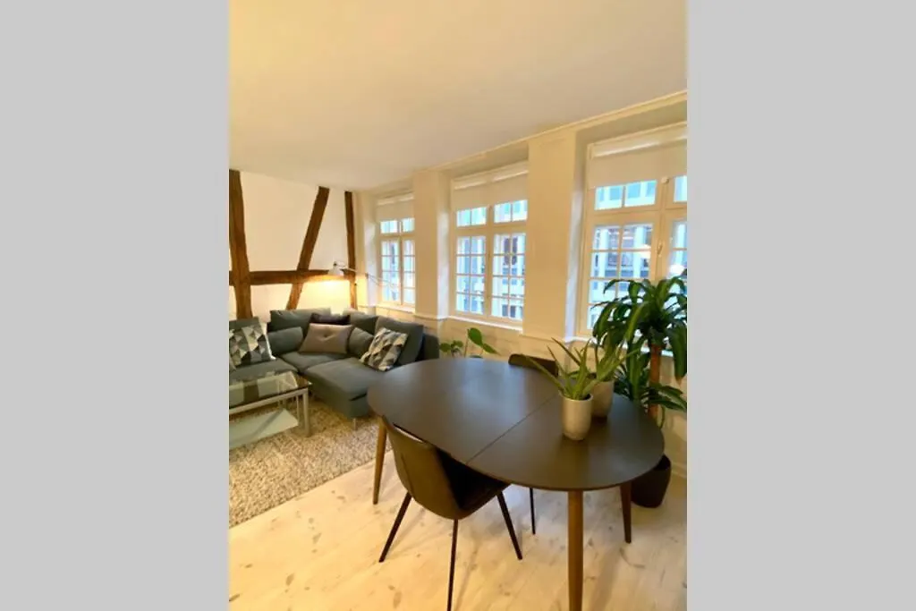 Luxury 'Kings Garden' City-Flat In Center Of Town Daire Kopenhag Danimarka